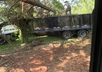Dependable Land Clearing