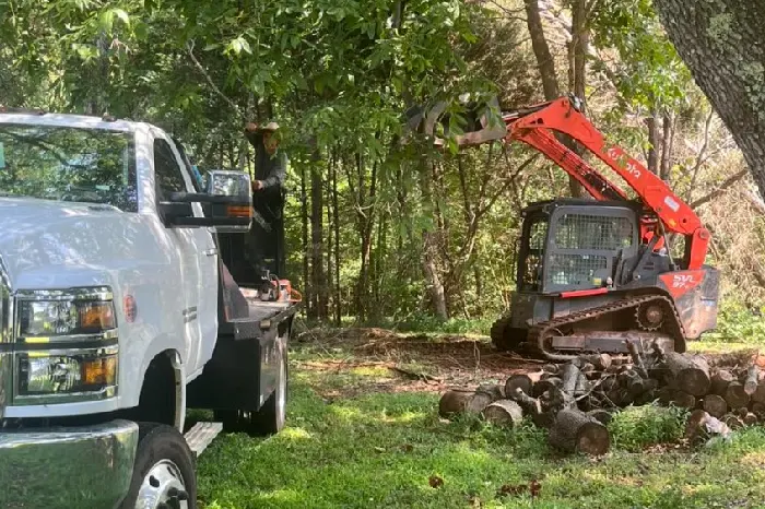 J.Escocia.S Tree Service's Other Services