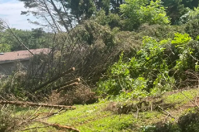 Land Clearing