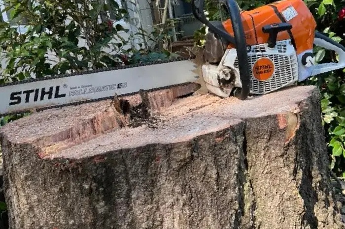 Stump Grinding